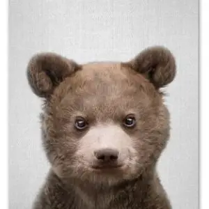 Cute Bear Print 21x30cm A4