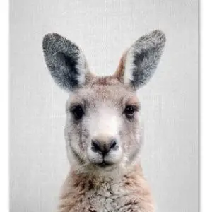 Cute Kangaroo Print 21x30cm A4