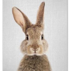 Cute Rabbit Print 21x30cm A4