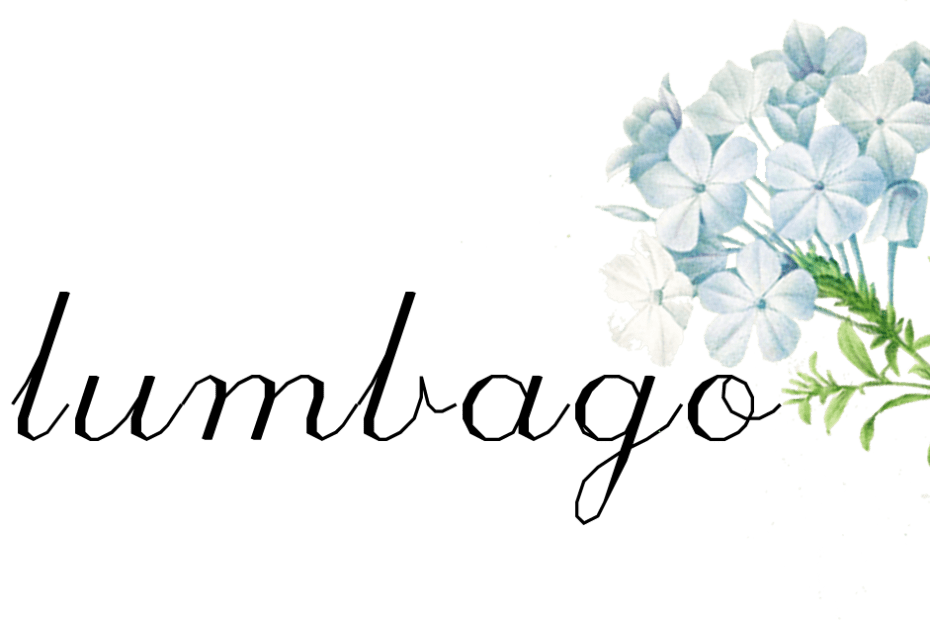 Plumbago Logo