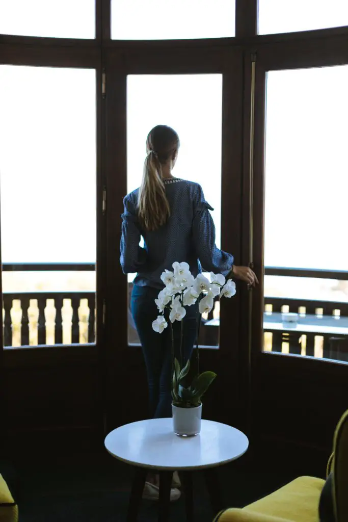 Minimalist living - giving yourself more time to spend on relationships. Woman looking out of window. Flowers on table in foreground.