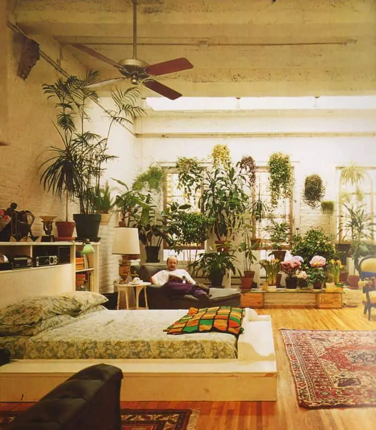 Many indoor plants feature in 1970s home