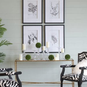 Set of 4 Flora and Fauna Framed prints in a gallery on the wall