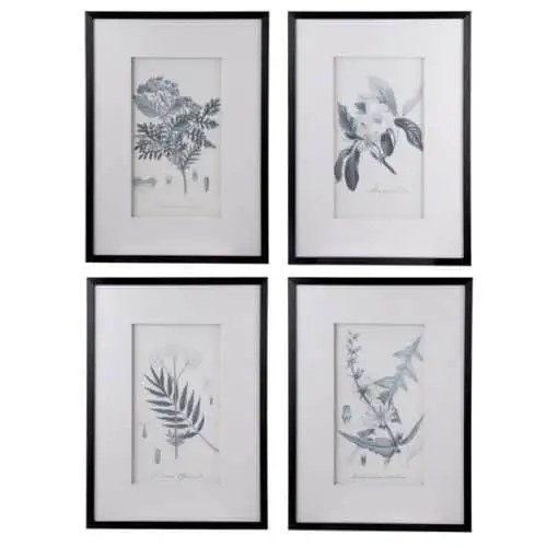 Set of 4 Flora and Fauna Framed prints